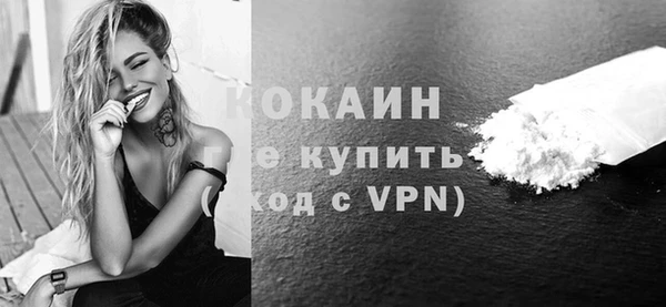 твердый Вяземский