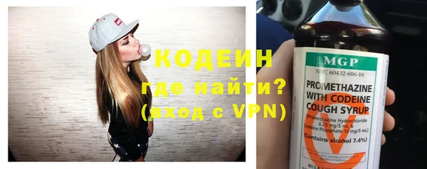 твердый Вяземский