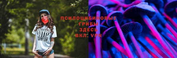 твердый Вяземский