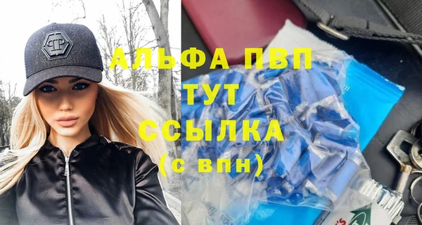 твердый Вяземский
