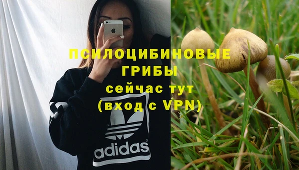 прущий лед Вязники