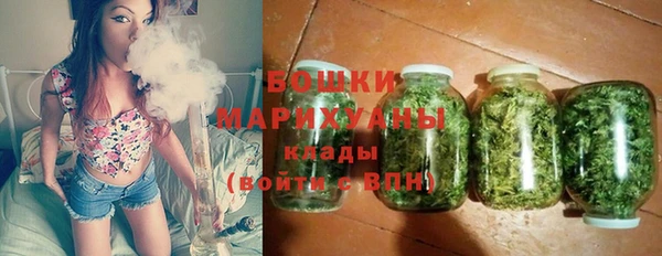 твердый Вяземский
