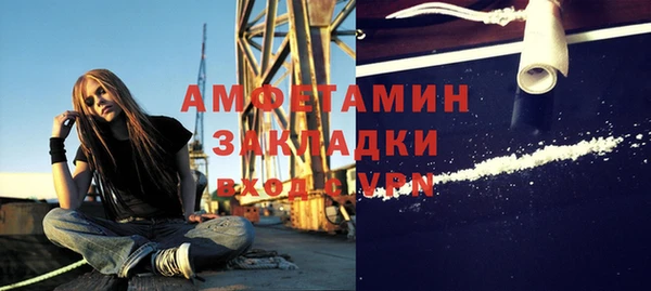 твердый Вяземский